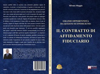 Silvano Maggio, Grandi Opportunità Da Questo Sconosciuto: il Bestseller su come stipulare un Contratto di Affidamento Fiduciario