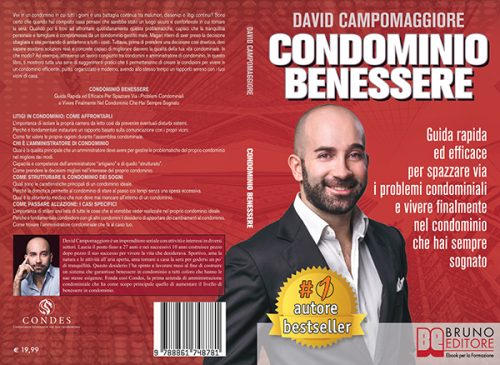 David Campomaggiore, Condominio Benessere: 2.000.000 di cause civili in Italia riguardano liti condominiali